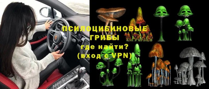 Псилоцибиновые грибы MAGIC MUSHROOMS  блэк спрут вход  Курлово 